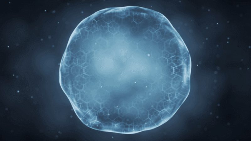 宠物健康监测：PCR检测与血常规的优劣势对比**