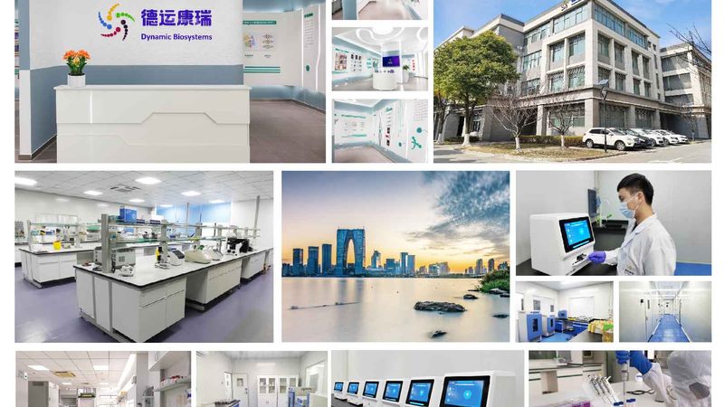 引物测序：精准科研的“导航针”**