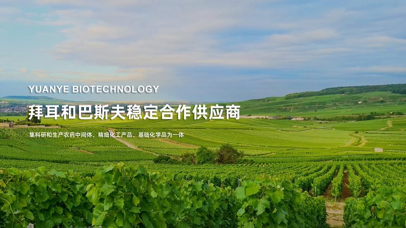 进口实验室耗材售后服务对比