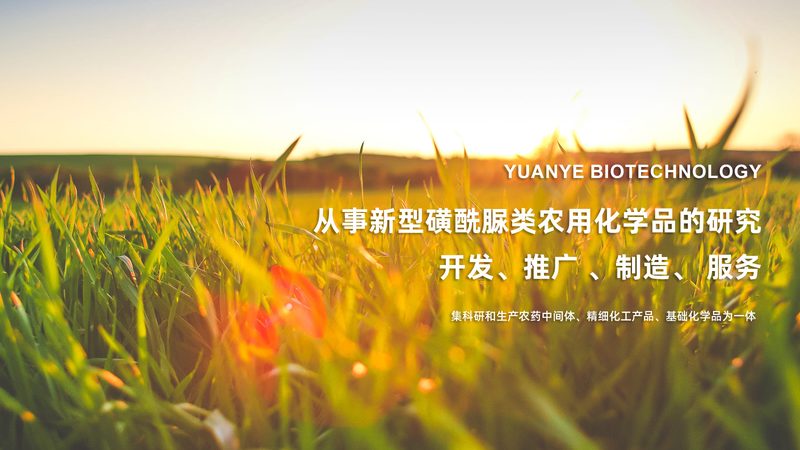 电动移液器：如何选择性价比之选？**