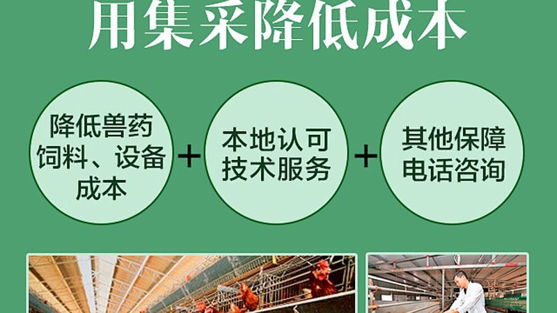 北京生物医药外包企业排名：揭秘行业发展趋势与选择标准